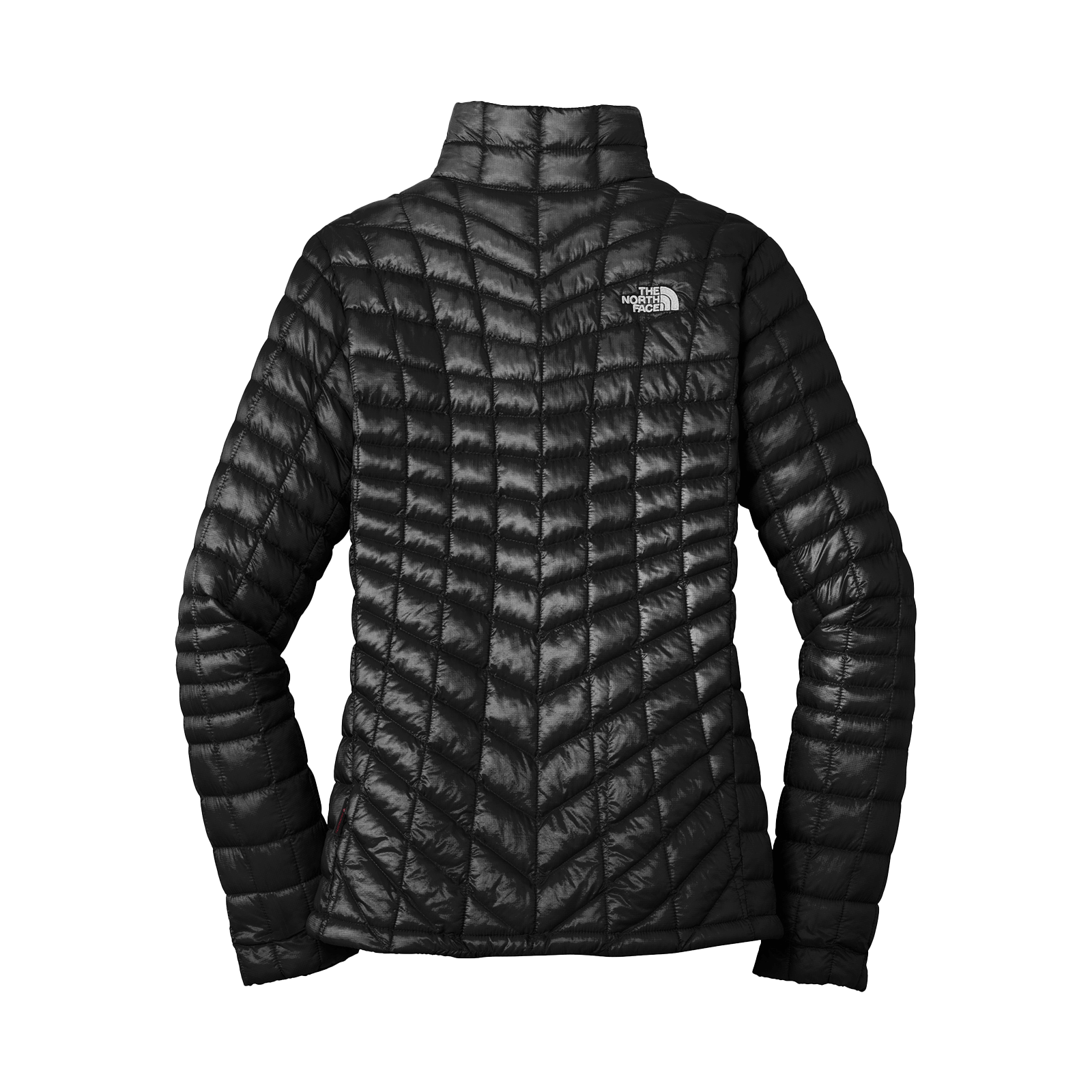 1694110005-nf0a3lhk-tnf-black-back.png