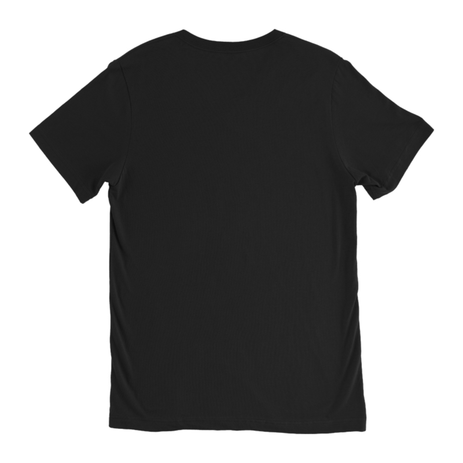 3005-bc-black-back.jpg