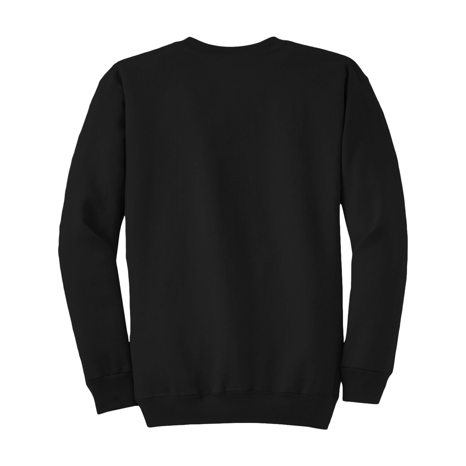 sw-2601-blanx-black-back.jpg