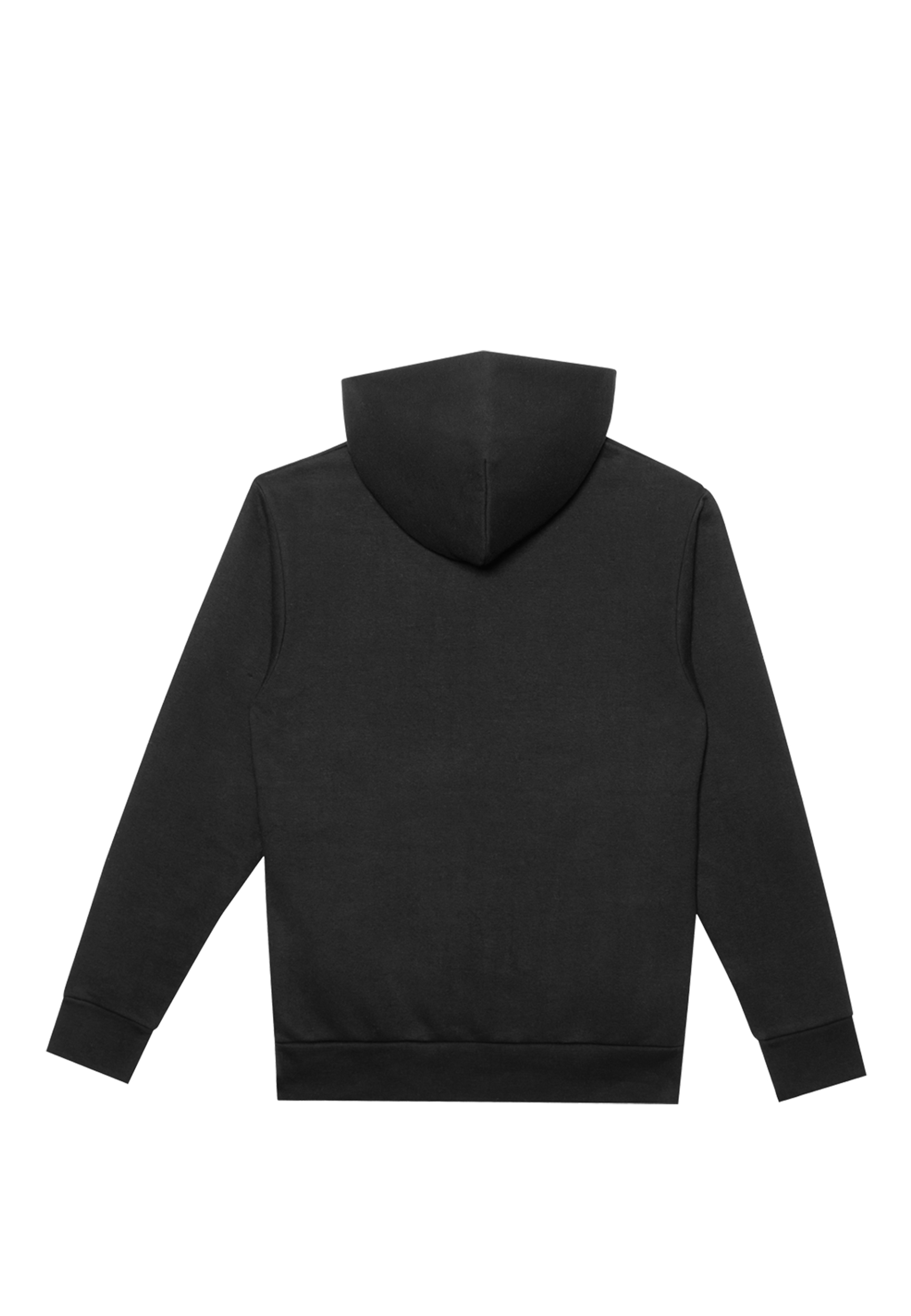 Lane Seven Urban Hoodie Garment Dyed Back