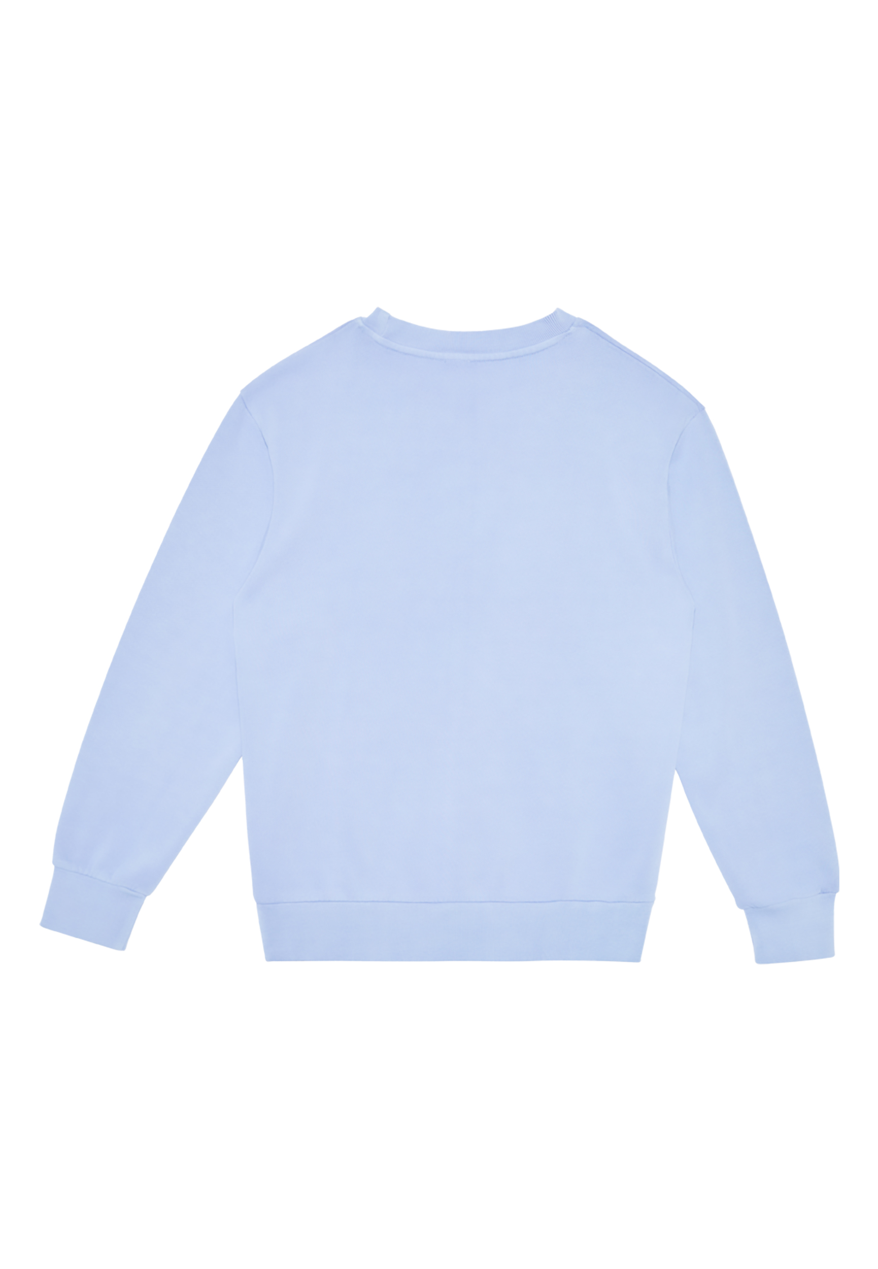 Lane Seven Urban Crewneck Garment Dyed Back