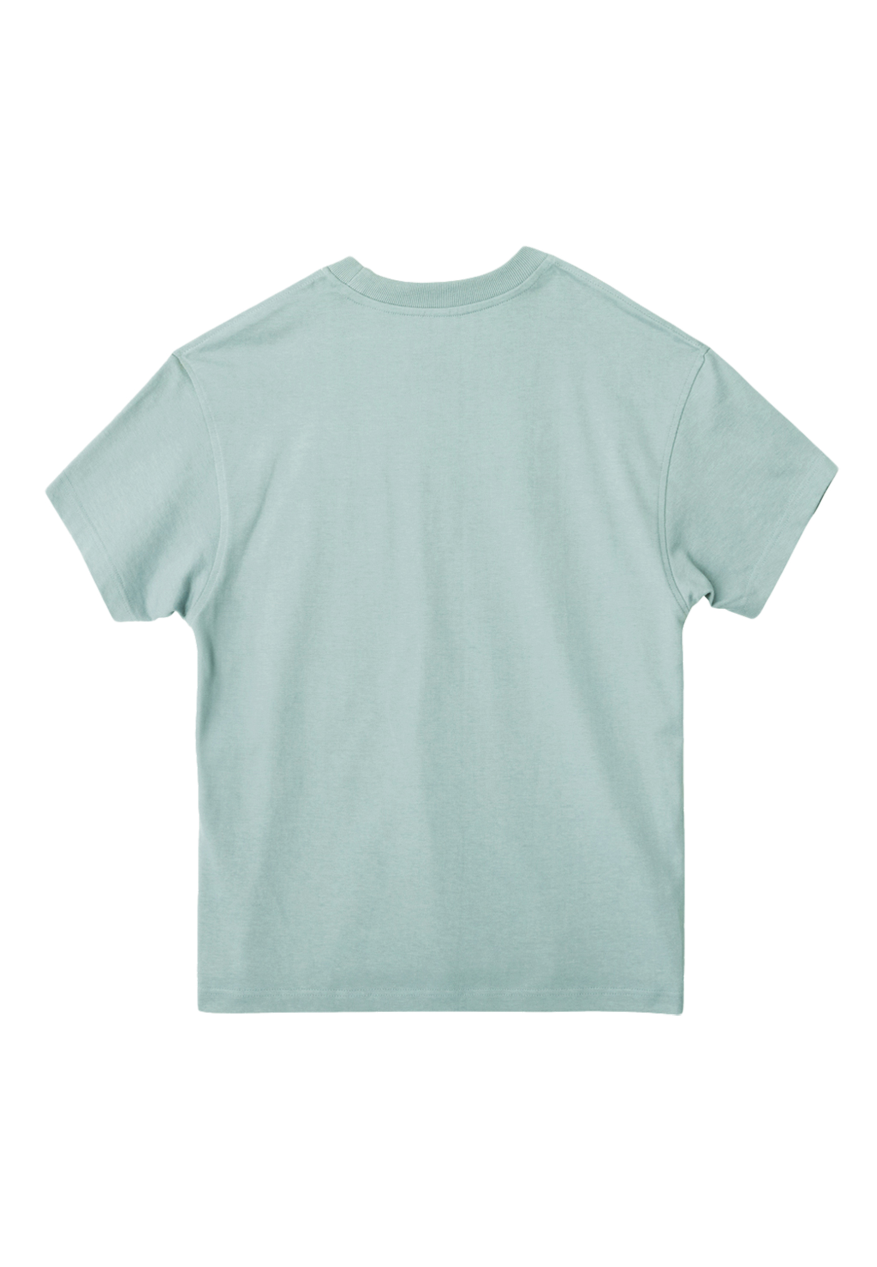 Lane Seven Heavy Core Tee Back