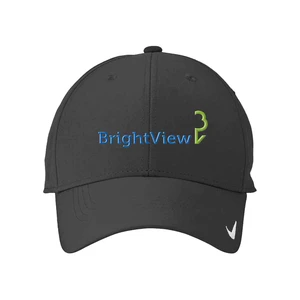 Nike Dri-FIT Legacy Cap NKFB6447