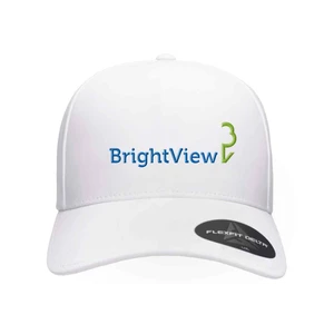 Delta® Seamless Cap - 180