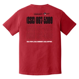 COMFORT COLORS Heavyweight Ring Spun Tee. 1717