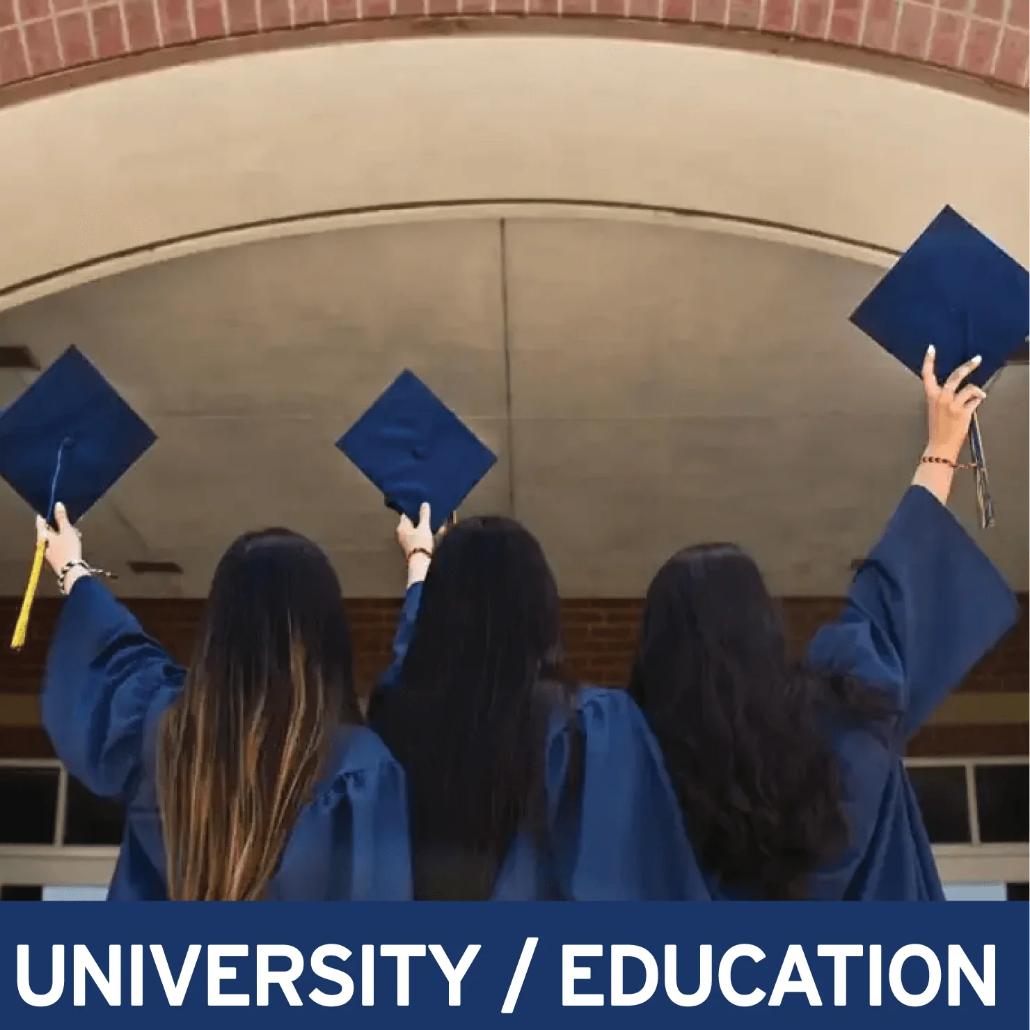 University / Education