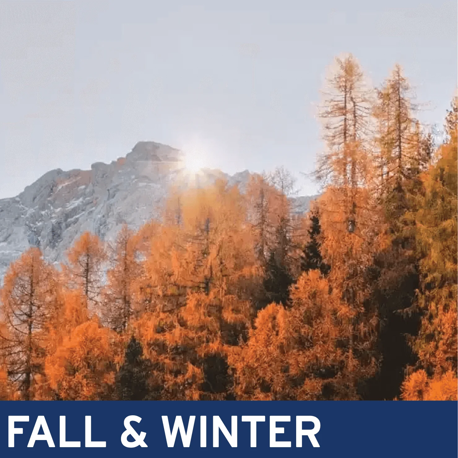 Fall & Winter