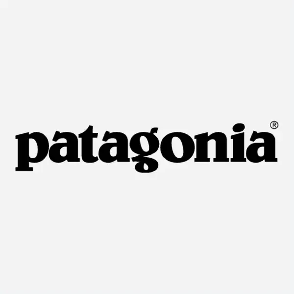 Patagonia logo