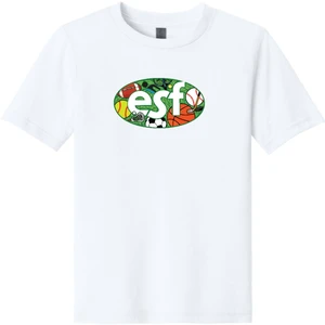Next Level Apparel Youth CVC Tee NL3312