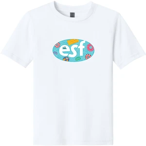 Next Level Apparel Youth CVC Tee NL3312