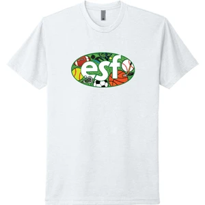 Next Level Apparel Adult CVC Tee. NL6210