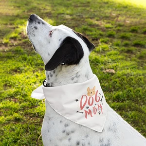 Pet Bandana Full Color 21x21