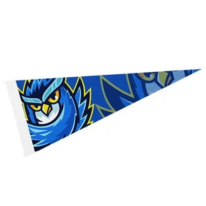4" x 10" Full Color Felt Pennant