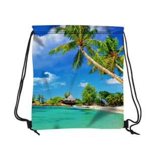 Full Color Polyester Drawstring BackPack