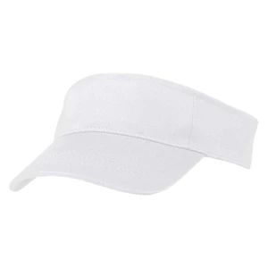 Polyester Visor view 3