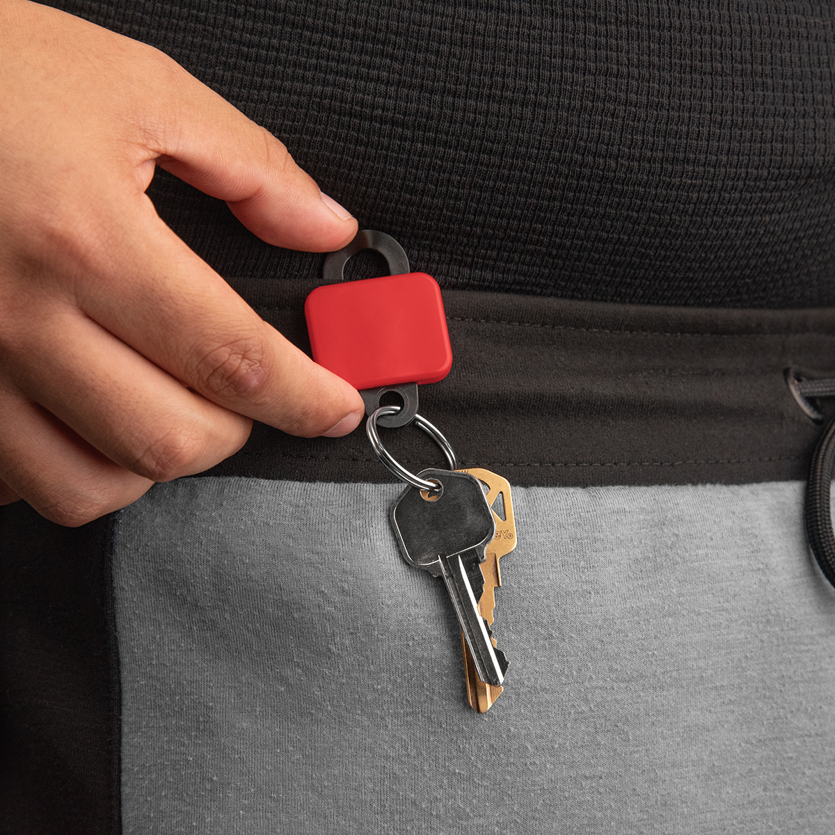 Clipster Key Tag
