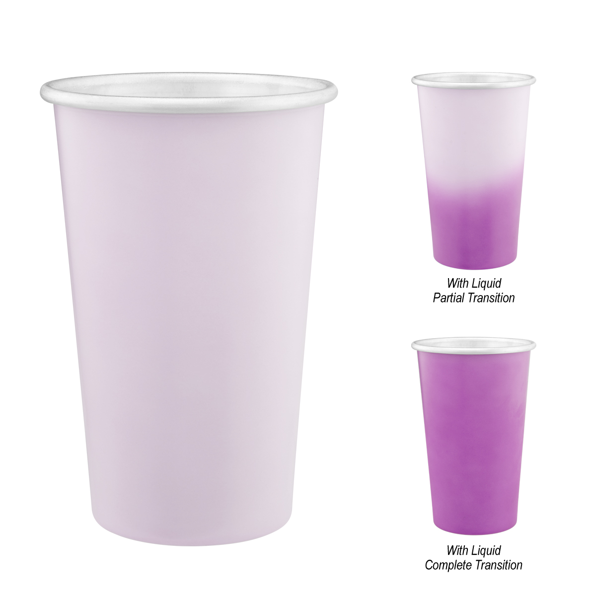 LIGHT PURPLE/PURPLE