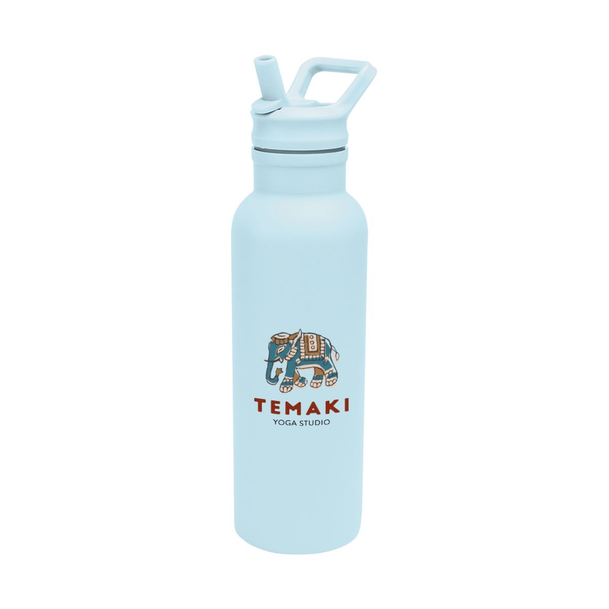 17 Oz. Hailey Recycled Stainless Steel Bottle