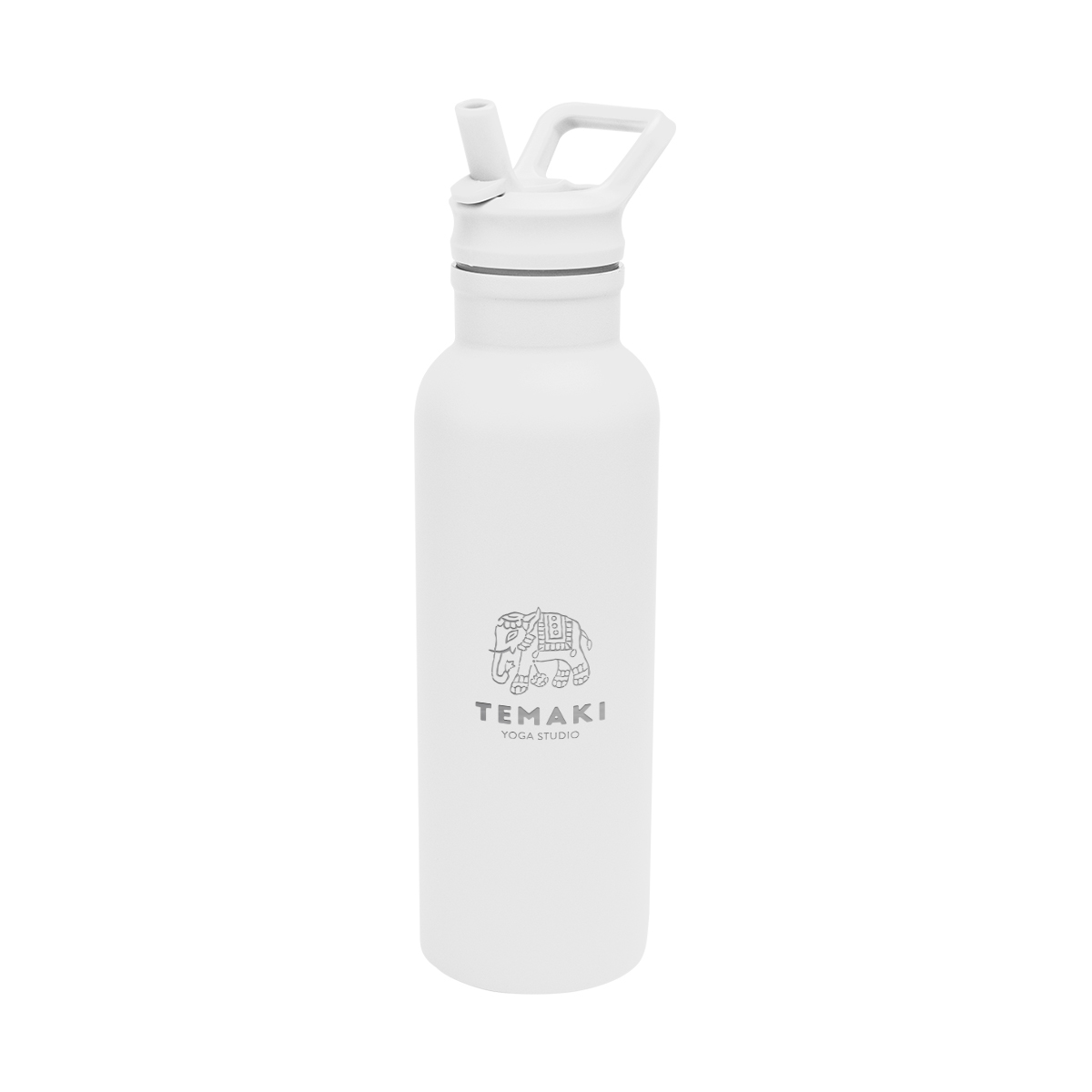 17 Oz. Hailey Recycled Stainless Steel Bottle