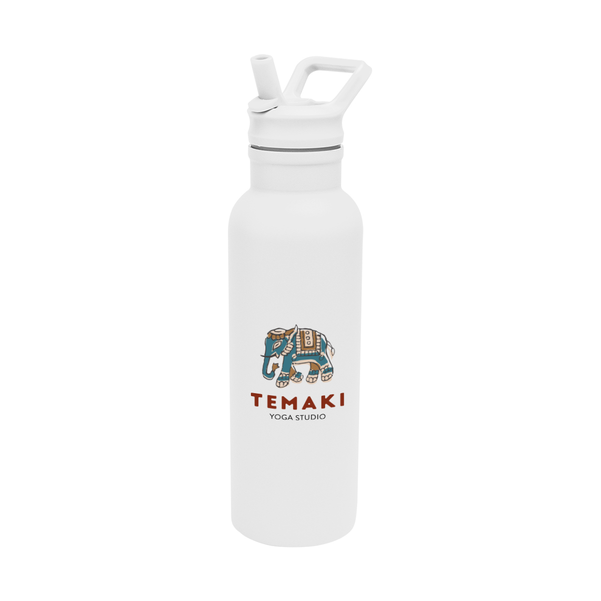 17 Oz. Hailey Recycled Stainless Steel Bottle