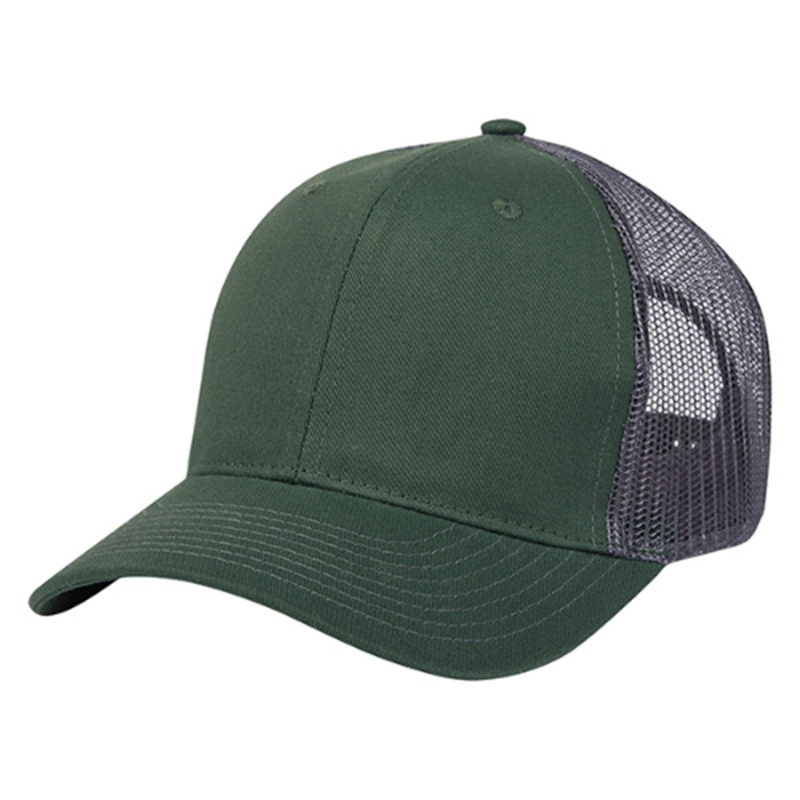 Adjustable Cotton Twill Back Cap