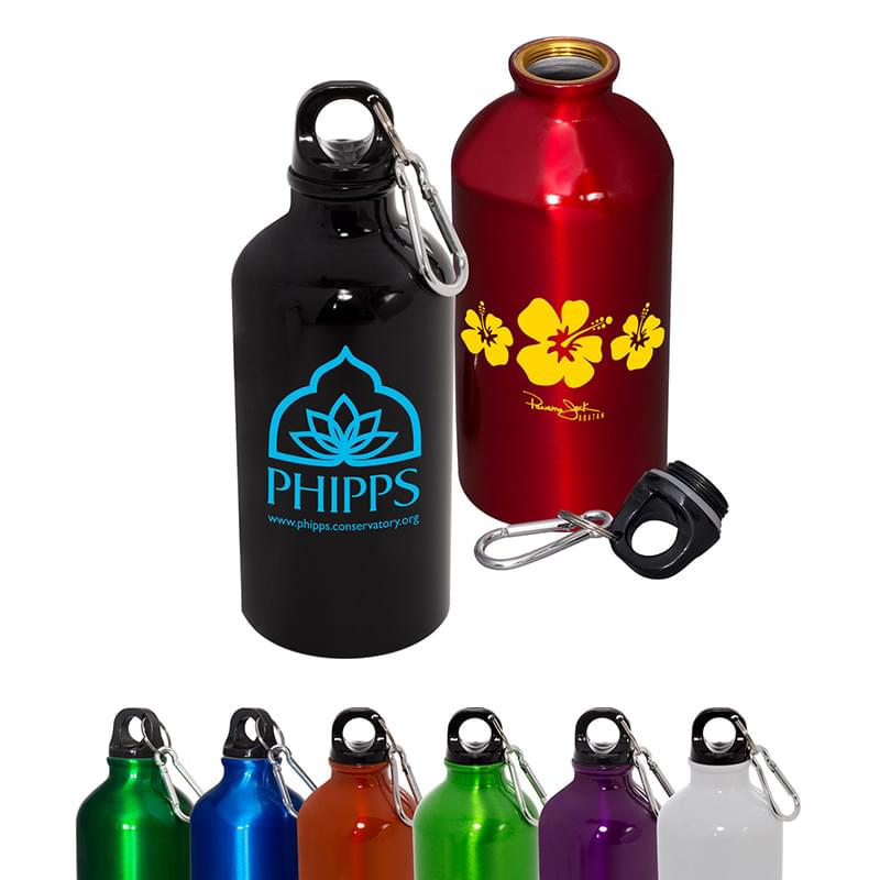 Aluminum Mini Bottle 17oz