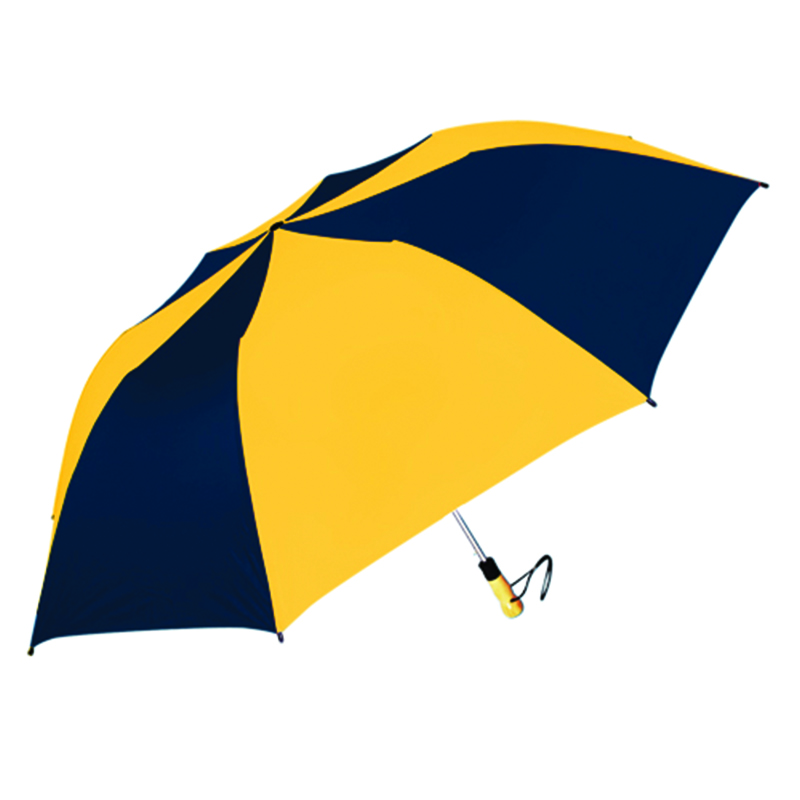 Navy/Gold
