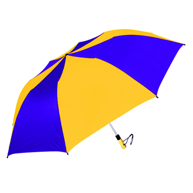 Purple/Gold