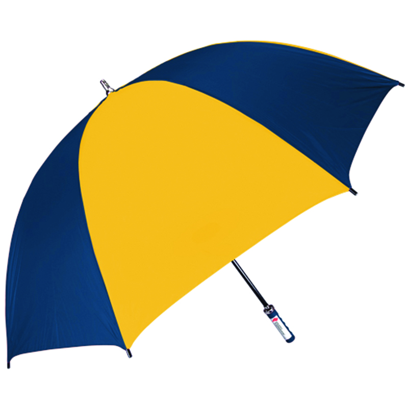 Navy/Gold