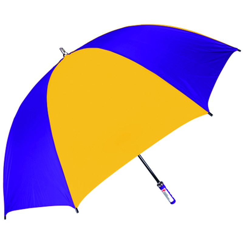 Purple/Gold