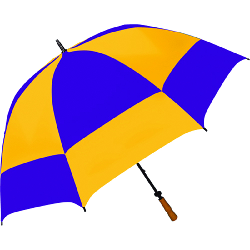 Purple/Gold