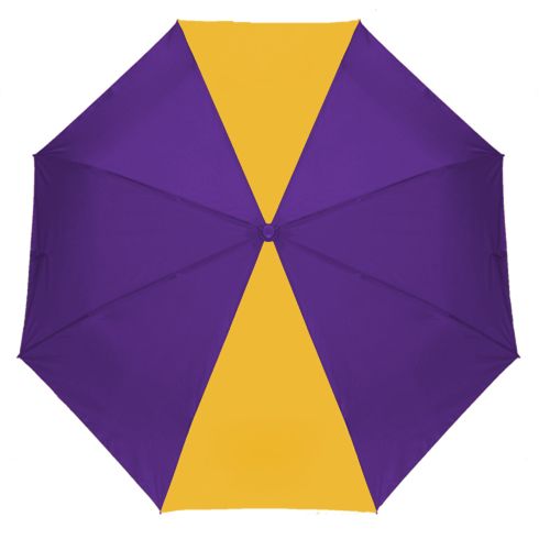 Purple/Gold