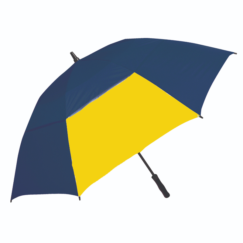 Navy/Gold