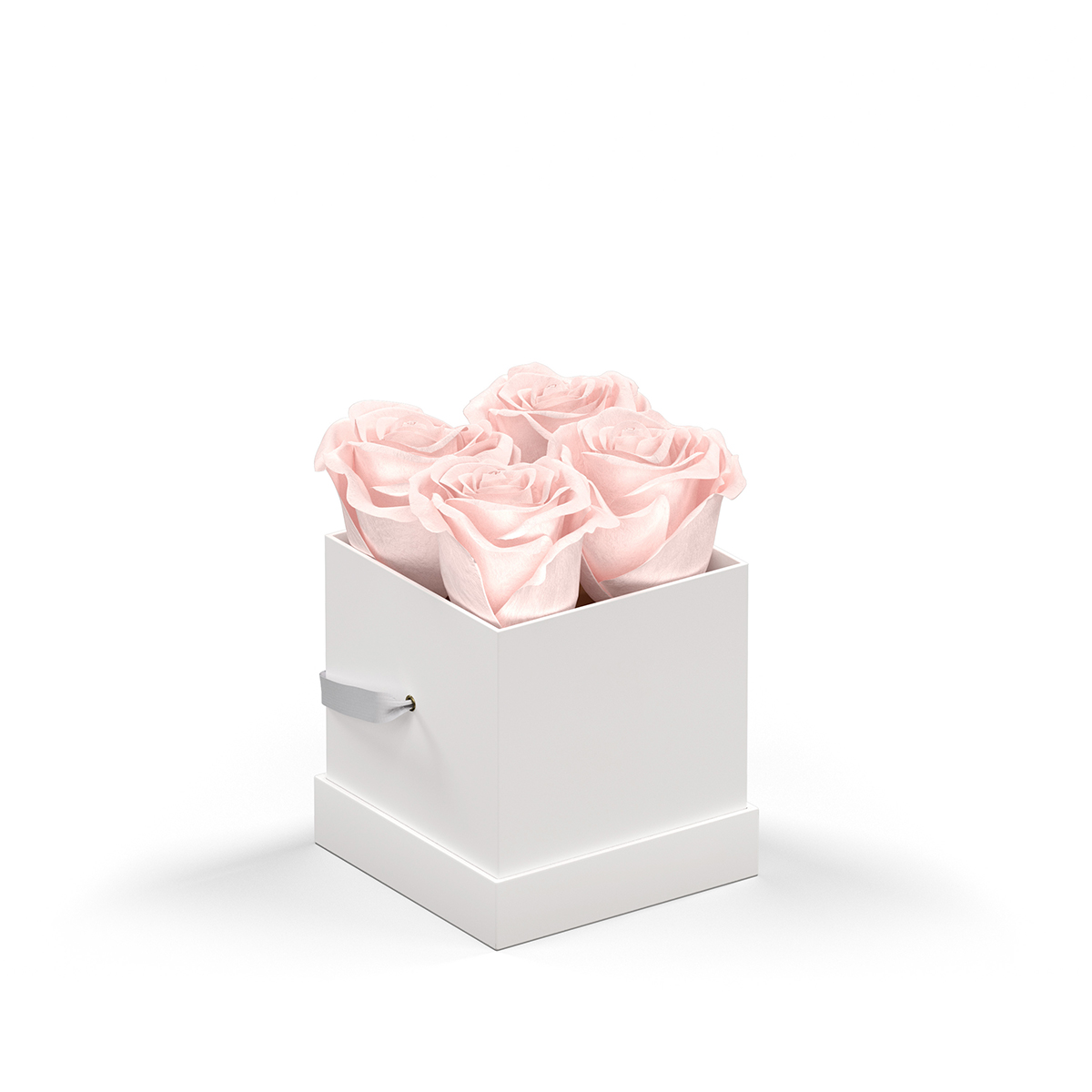 WHITE BOX