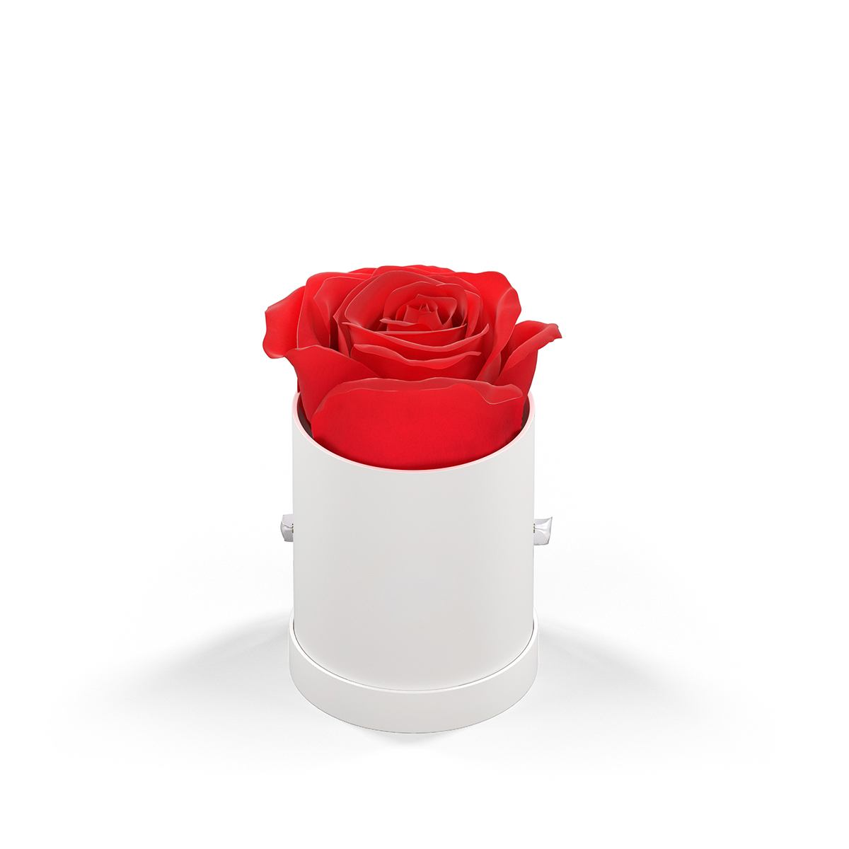 Classique by VeF Le Mini Round