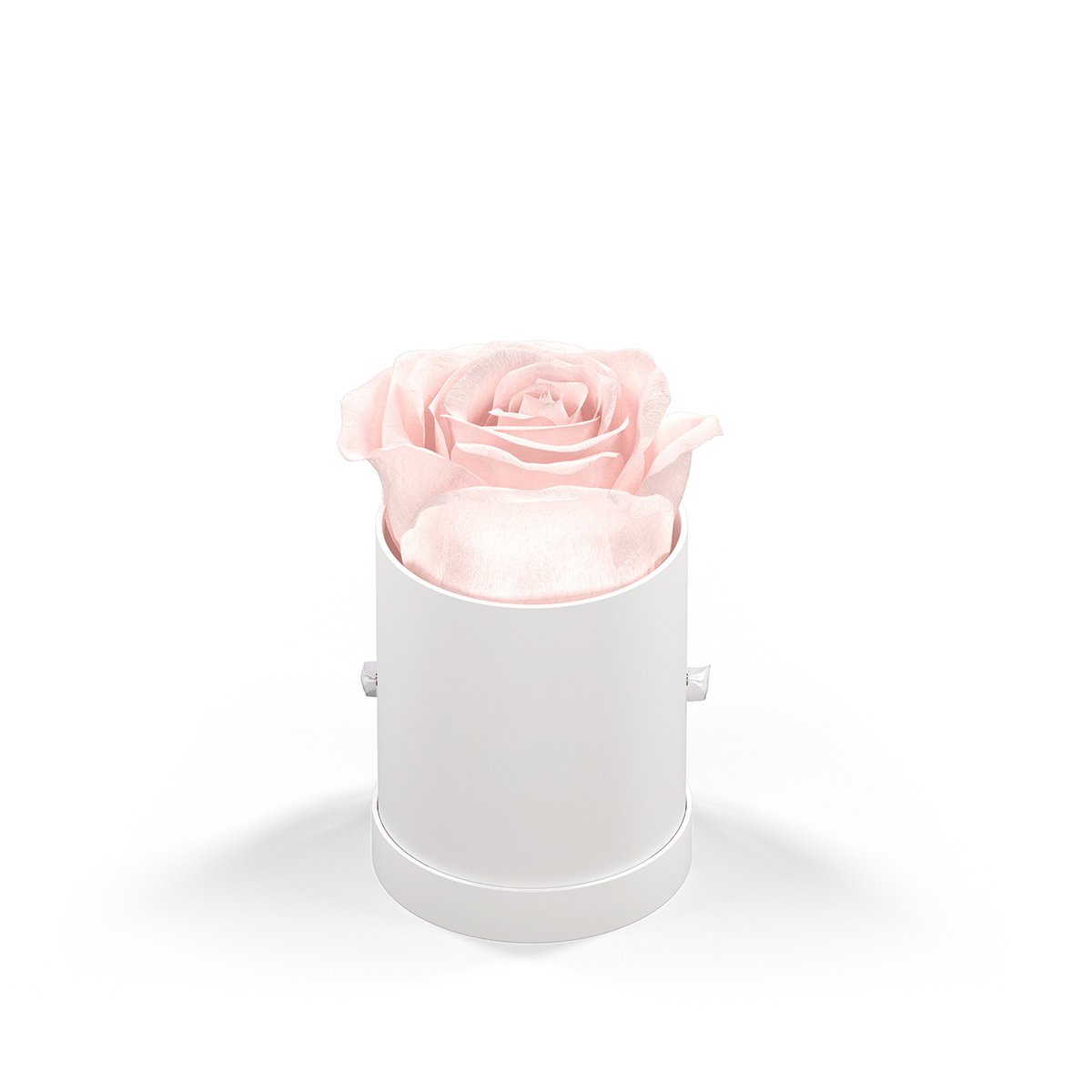 WHITE BOX
