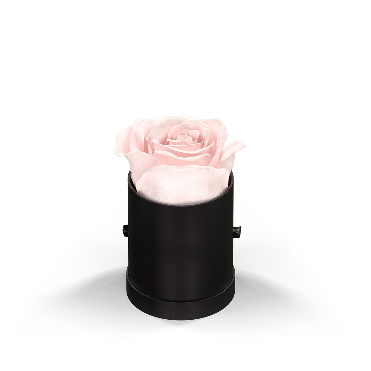 BLUSH