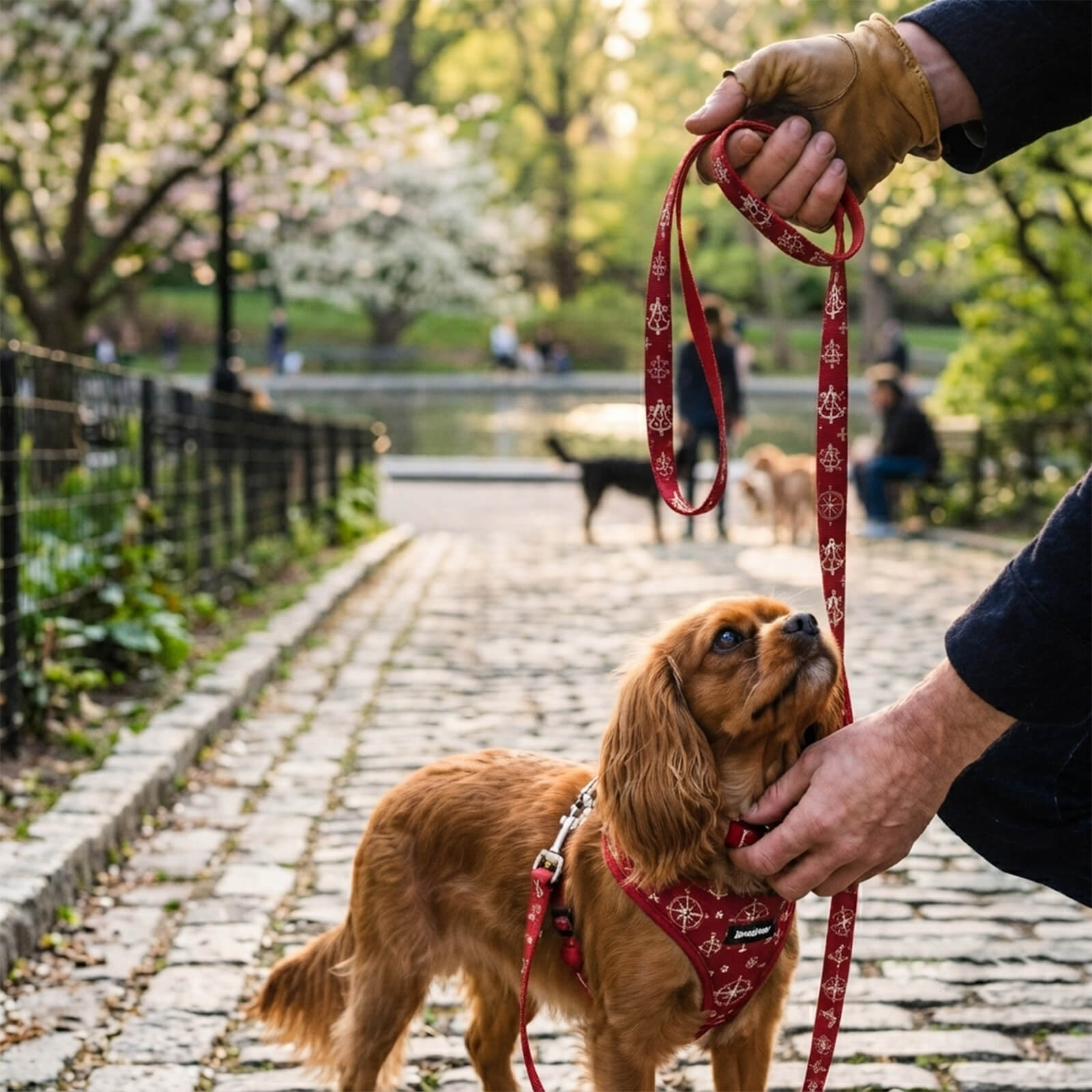 Dog Leash 1" X 60" Dye Sublimation