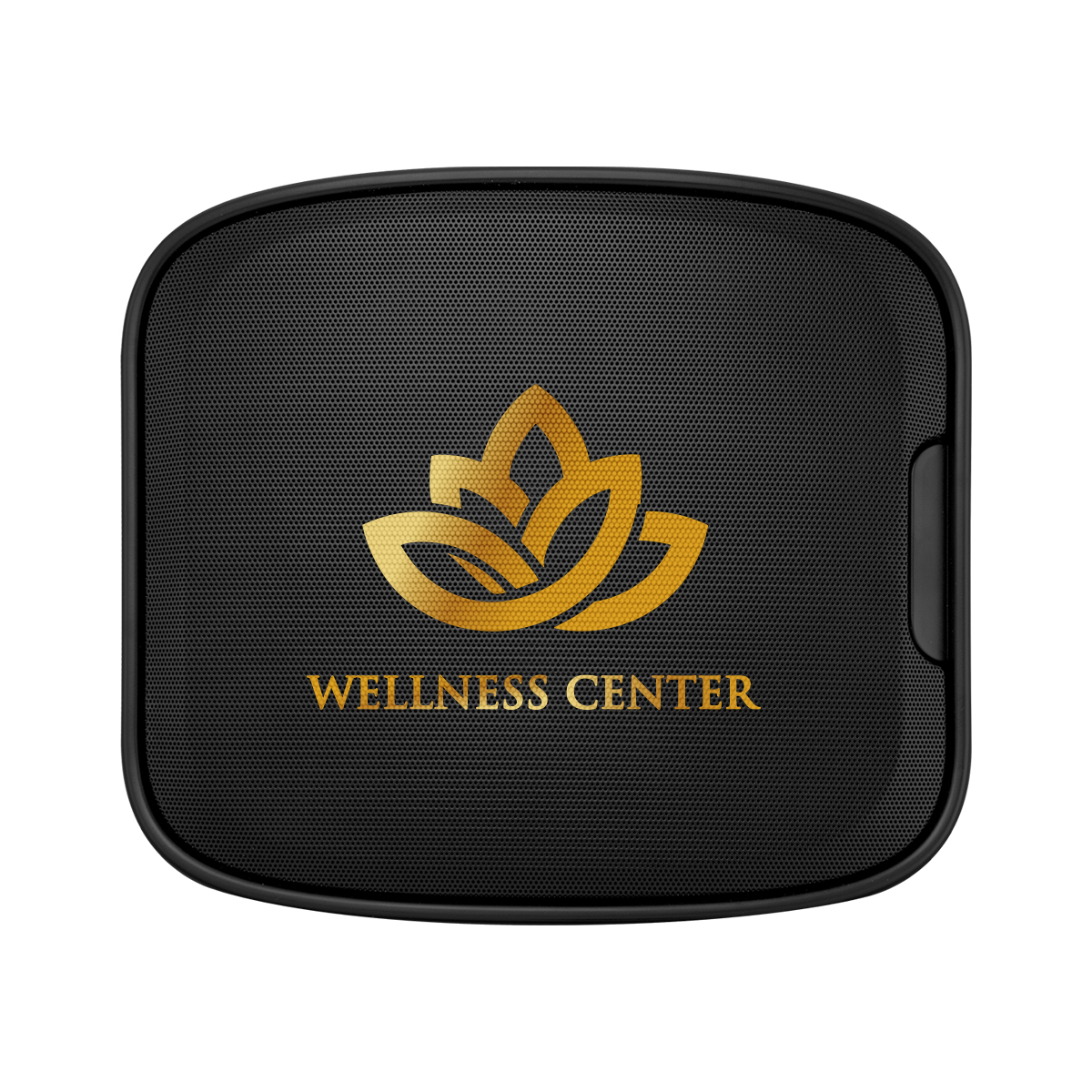 Wall Mount Wireless Speaker