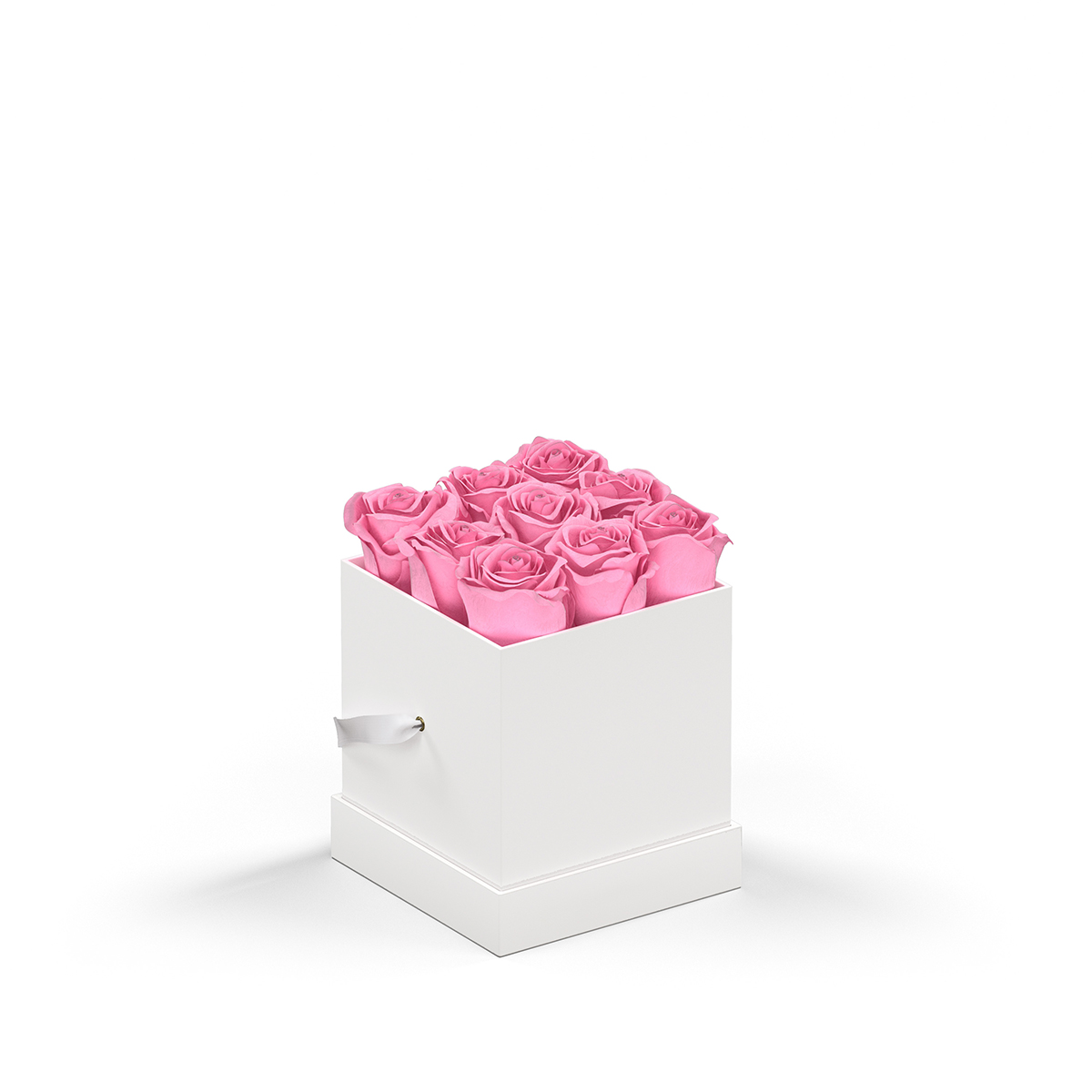 WHITE BOX
