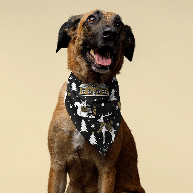 Pet Hemmed Bandana Full Color 16x16