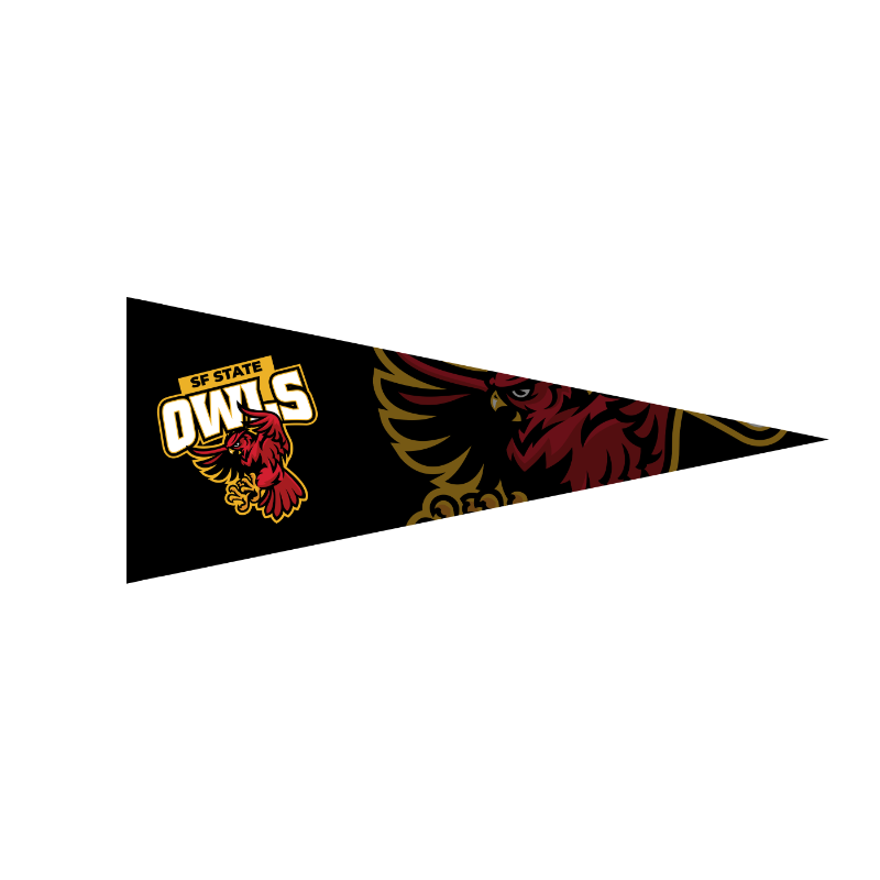12 in x 30 in Full Color Felt Pennant