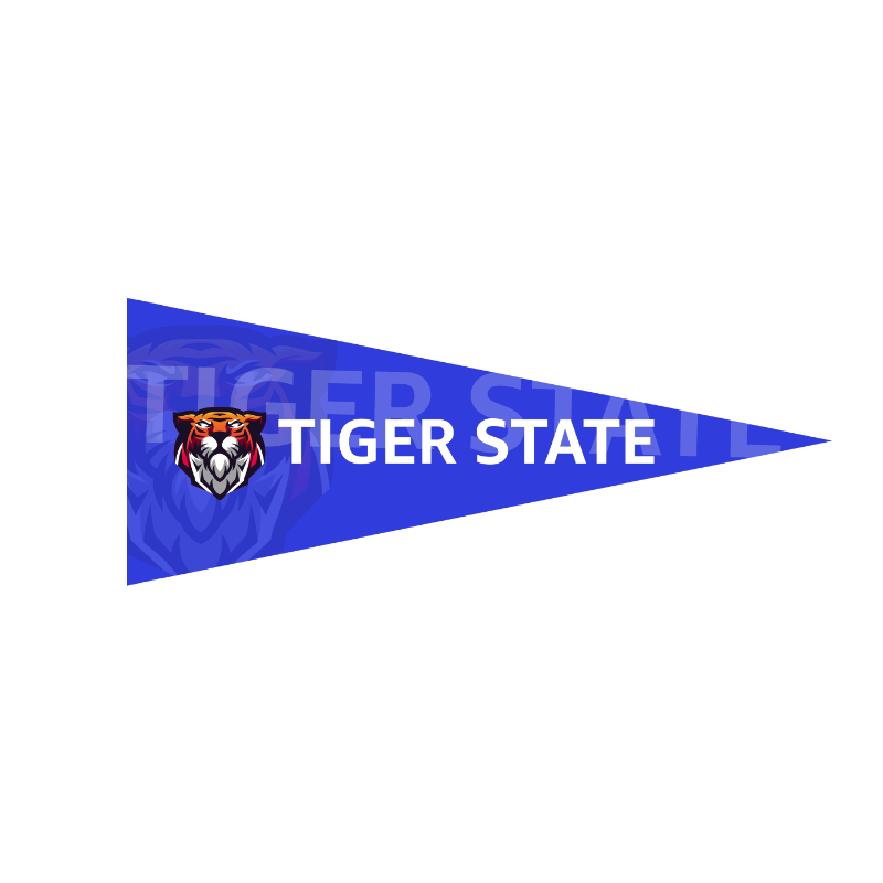 8" x 18" Full Color Felt Pennant