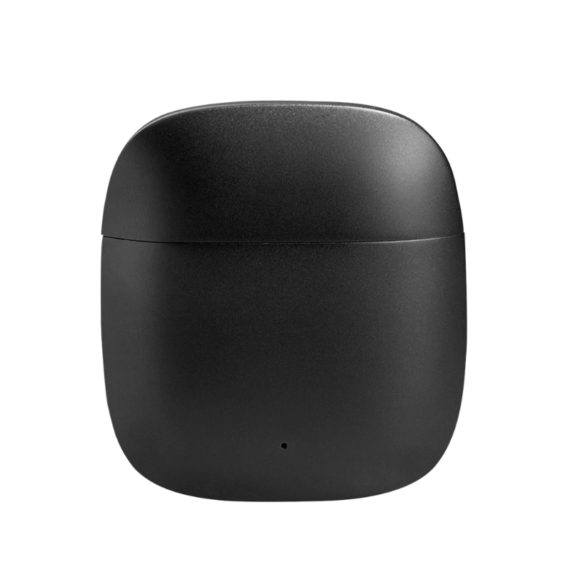 Lloyd Black Metal Earbuds