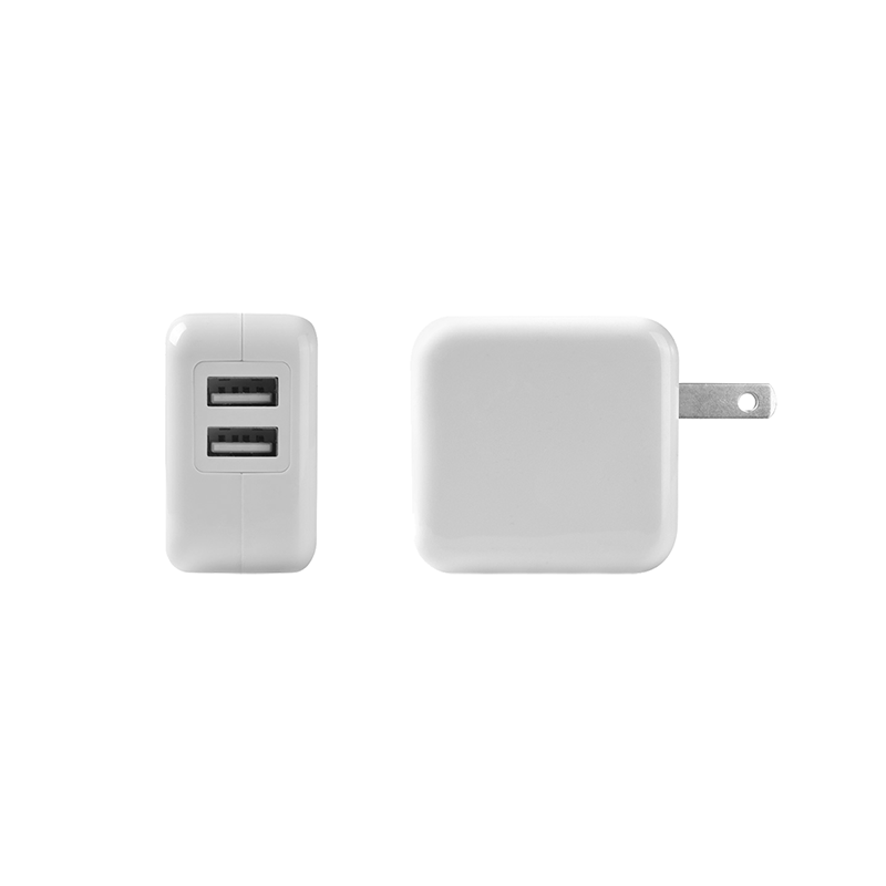 Springfield Dual Wall Charger