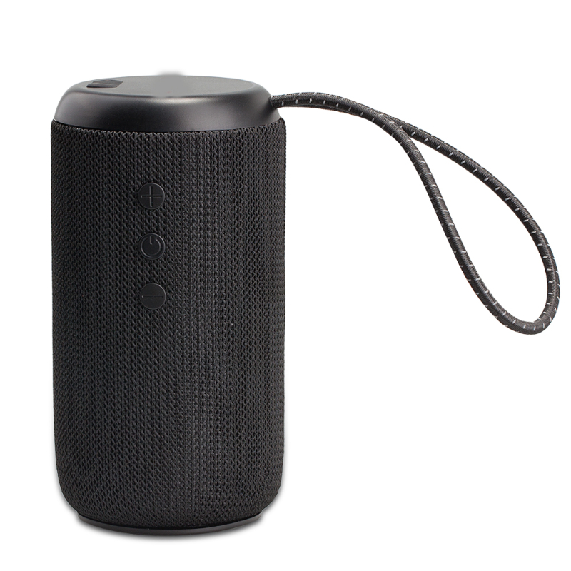 Triton IPX7 Speaker