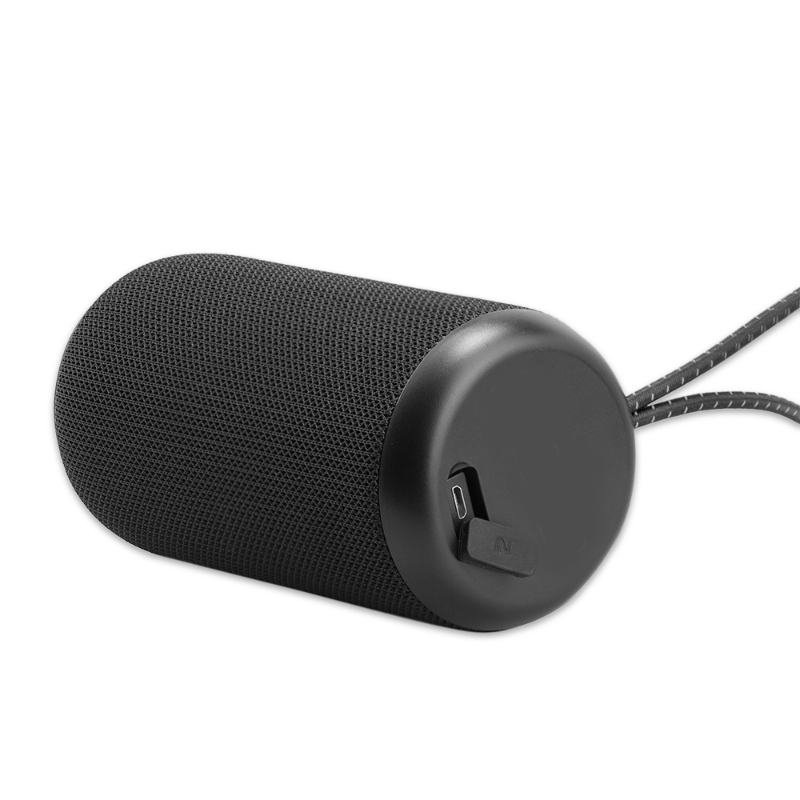 Triton IPX7 Speaker