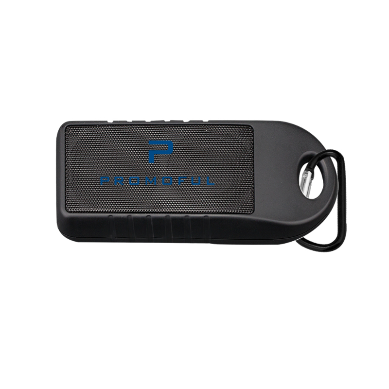 Douglas Park Speaker