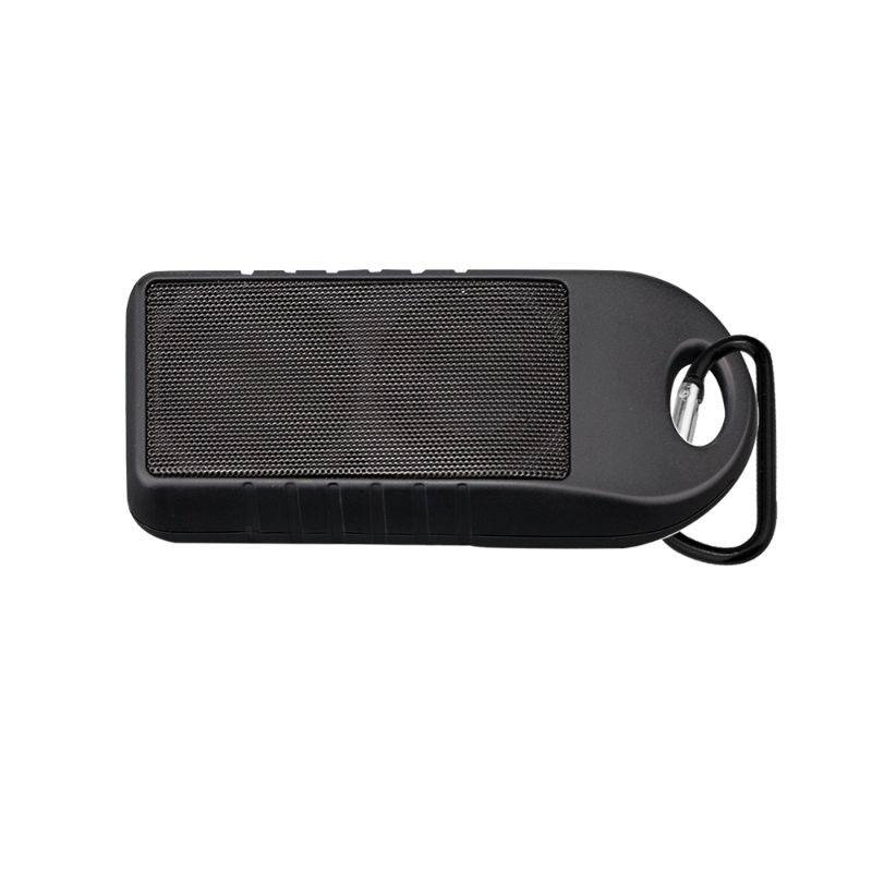 Douglas Park Speaker