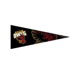 12" x 30" Full Color Felt Pennant - with Strip
